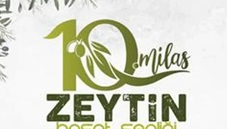 Milas’ta zeytin hasat şenliği için geri sayım başladı