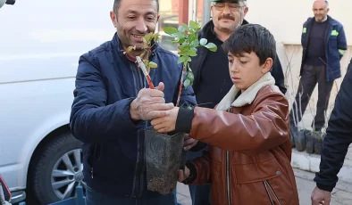 Konya’nın 3 ilçesinde üreticiye Antep Fıstığı desteği