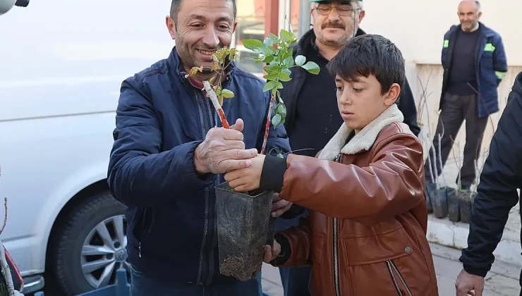 Konya’nın 3 ilçesinde üreticiye Antep Fıstığı desteği