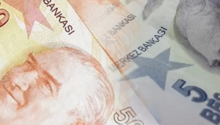 5 ve 50 TL’lik yeni banknotlar piyasada