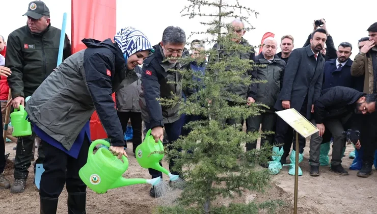 Geleceğe nefes fidanlar ‘Gazze Hatıra Ormanı’nı yeşertecek