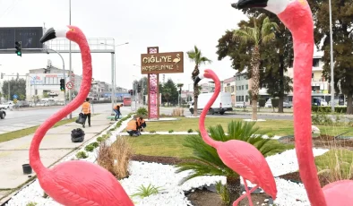 İzmir Çiğli’de ziyaretçileri flamingolar karşılıyor