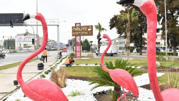 İzmir Çiğli’de ziyaretçileri flamingolar karşılıyor