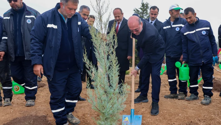 Konya Sille'de fidanlar toprakla buluştu