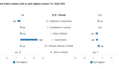 Hizmet üretim endeksi yıllık stabil… Hizmet üretiminde gayrimenkul önde