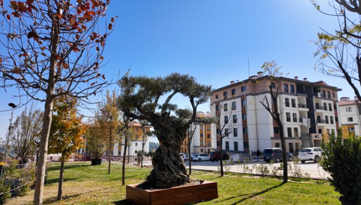 Hatay Antakya'da 3 bine yakın afet konutu tamamlandı